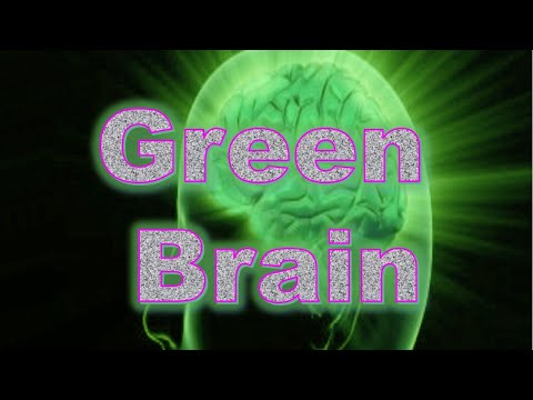 The Secret of Green Brain