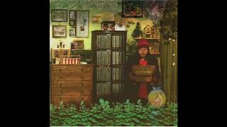 Badly Drawn Boy - Summertime in Wintertime