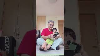 【 親子で楽しむ】🐱 32 #トランプ #育児あるある #成長記録 #子育て #2歳3カ月　