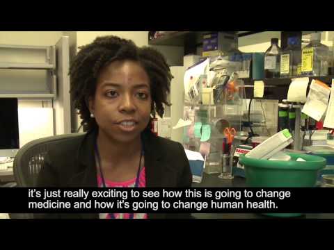 NIAMS Intramural Research Program at Work