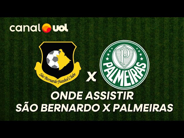 Transmissão ao vivo de São Bernardo x Palmeiras: veja onde assistir