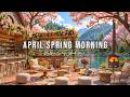 CALM APRIL SPRING MORNING AT OUTDOOR COFFEE SHOP AMBIENCE 🌸  ..