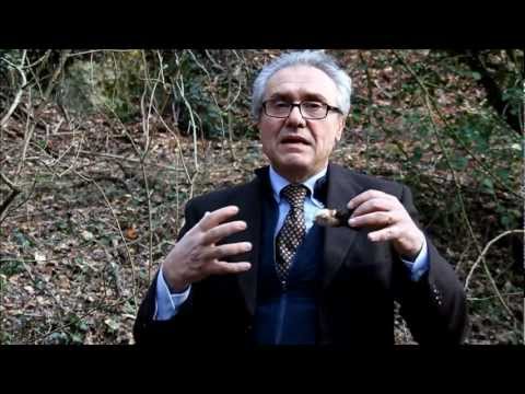 Se sia possibile per gli ultrasuoni per determinare la displasia dellanca Dolore alle articolazioni nel diabete