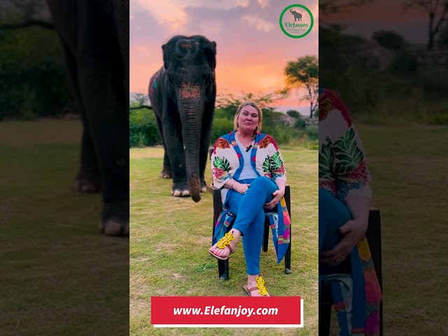 Elefanjoy Elephant Farm and Sanctuary