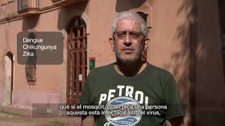 MOSQUIT TIGRE subt CAT