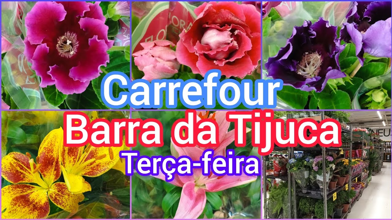 PLANTAS E FLORES FRESCAS EM CARREFOUR BARRA DA TIJUCA