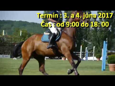 Cena rektorky UVLF a Pohár primátora mesta Košice - 32. ročník