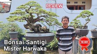 Download lagu review bonsai santigi the best koleksi milik mister harwaka mp3 Download lagu review bonsai santigi the best koleksi milik mister harwaka mp3