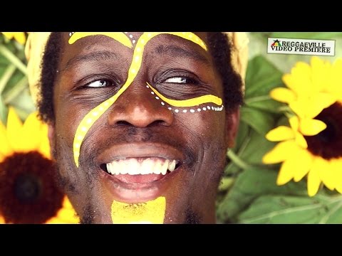 Joe Pilgrim & The Ligerians - Like A Sun [Official Video 2016]