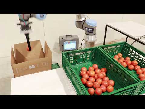 Robotic Kitting | packing tomatoes