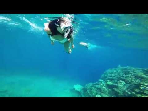 Dahab 2015 Hot girl snorkeling for the first time