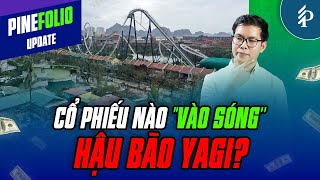 Những ảnh hưởng tiêu cực của siêu bão Yagi và các doanh nghiệp có thể hưởng lợi | PineFolio