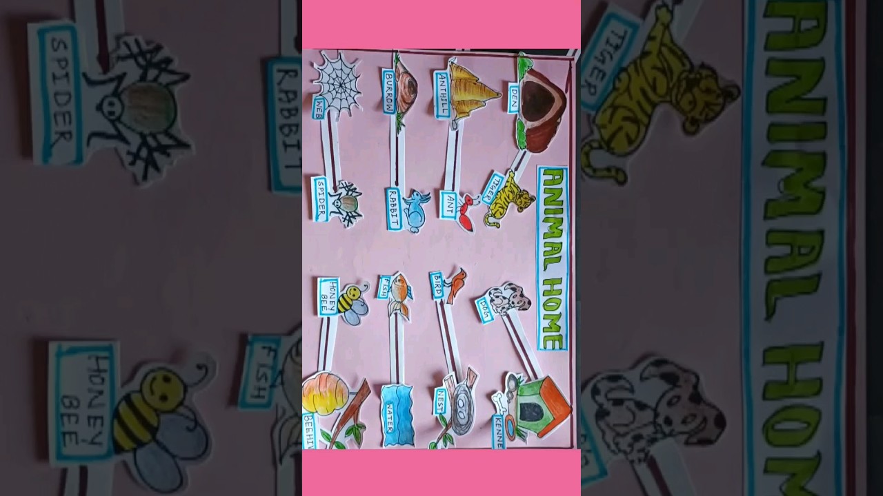 ANIMAL HOME || EVS TLM #trending #shorts #tlmmaster #tlmforprimaryschool #tlm