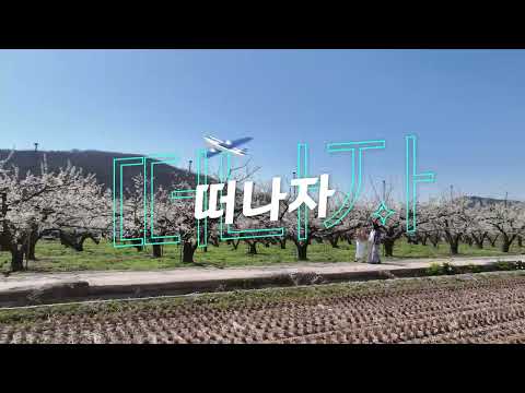 자두 생산지 1위답게 자두 꽃이 이쁜 의성