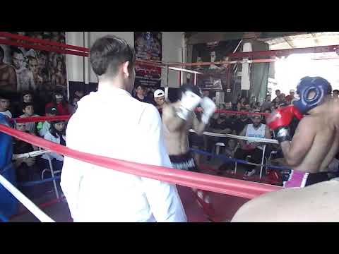 Renegado Fight Team 🥊🐍🇦🇷