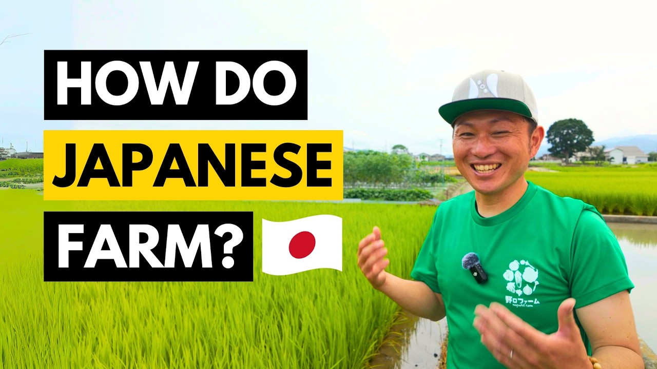 The Secret Water That Grows Japan's Best Vegetables