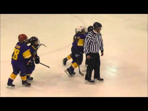 U11 H C  Shakhtar Soligorsk vs SHD Sweden Blue 2016 04 23