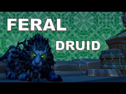 Feral Druid Battleground PvP | World of Warcraft BFA 8.3