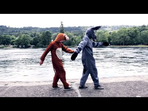 Raphael Jost - Donkeys or Monkeys