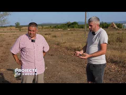 Proiecte de Succes Casian Puie O Ghinea 19 10 2024