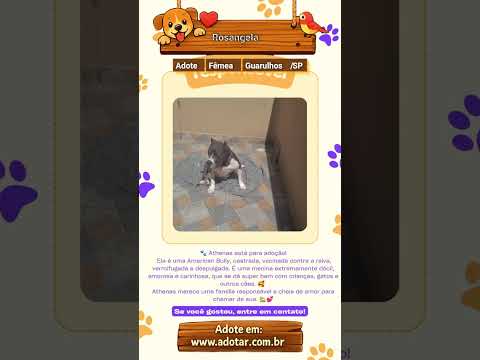 Vídeo de Rosangela