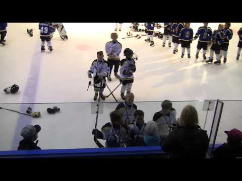 Hopeamitalit ja pokaali 21.4.2014