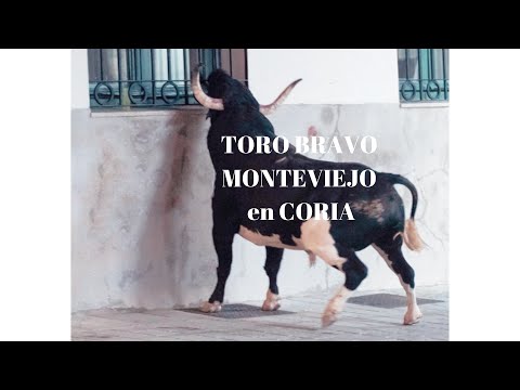 SORPRENDENTE TORO BRAVO MONTEVIEJO de Victorino EN CORIA 30 de Julio de 2021¡TE ESPERAMOS!