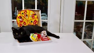 EASYOLOGY     ❤️  Cat Pizza - Cat Toy - Review     ✅