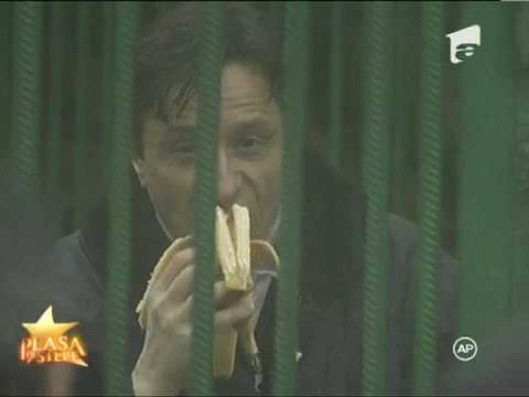 Plasa de Stele - Claudiu Bleont, exponat la zoo