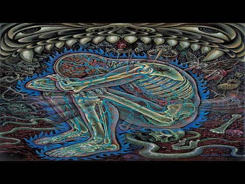 1000ug LSD Trip Report: 'What Could Possibly Go Wrong?'