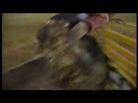 Owen Dunn vs Little Hopper - 96 PBR Reno (92 pts)