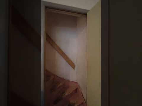 Vidéo