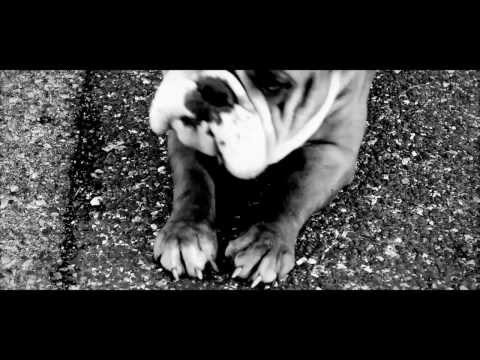 BOXXBOY ENT  PRESENTS MURRRLAND x YUNGWACK - SEEN WHAT I SEEN (OFFICIAL MUSIC VIDEO)