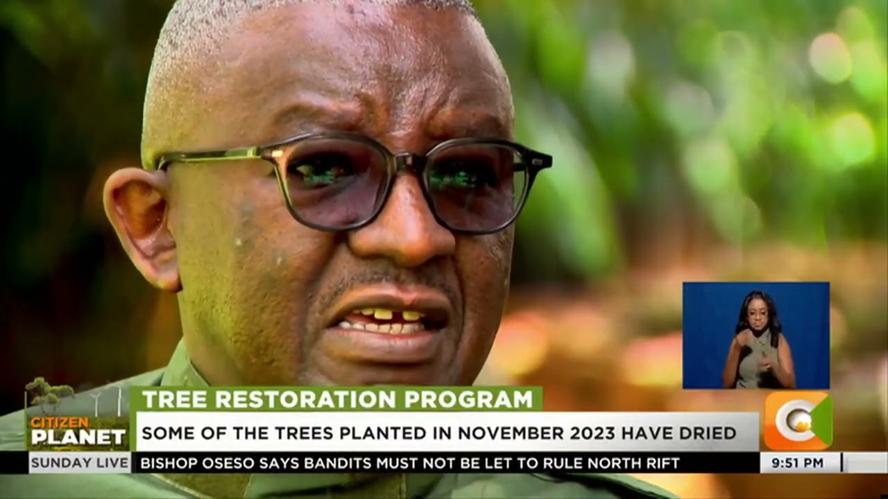 GTAP Leadership Insight: Dr. Isaac Kalua Green Analyzes National Tree Planting Program