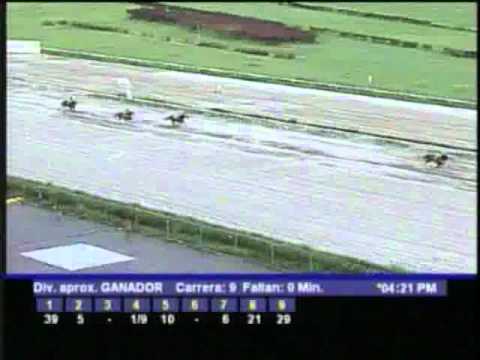 Resumen Sabado, 12 de Noviembre de 2011 - La Rinconada