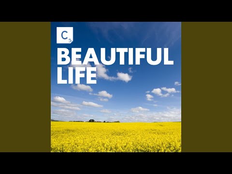 Beautiful Life (Radio Edit) (feat. D French)