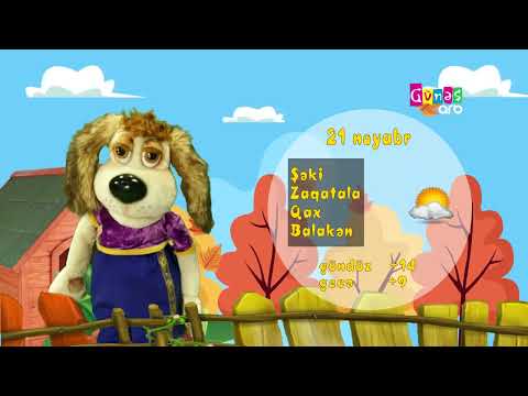 "Hava necə olacaq?" - 21 noyabr 2024-cü il