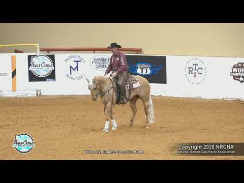 SJR Diamond In Style ridden by Jake D Gorrell - 2020 Celebration of Champions - Open Derby Rein