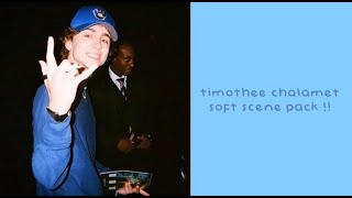 timothée chalamet soft scene pack (twixtor)
