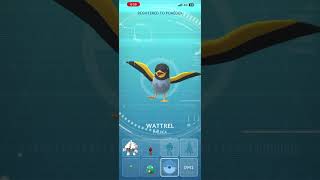 Newest Pokemon and its evolution!! #viral #viralvideo #pokemon #shorts #shortvideo #shortfeed #life