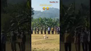 Download lagu Ini parah nih....hahahaha...... Tenang... Tenang.... 😂🤣 mp3 Download lagu Ini parah nih....hahahaha...... Tenang... Tenang.... 😂🤣 mp3