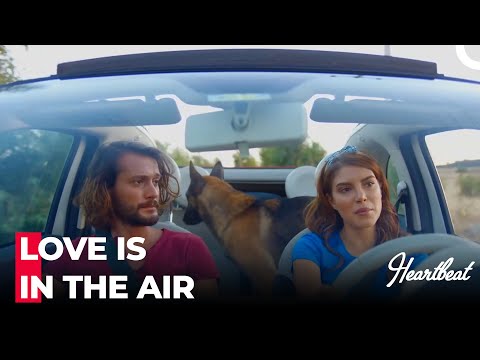 I Want To Be Your Prisoner - Heartbeat