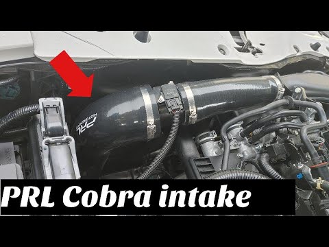PRL cobra cold air intake sounds on a 10th gen civic