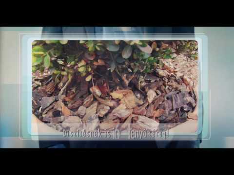 Fenyőkéreg takarás előnyei - fenyokereg.hu videó