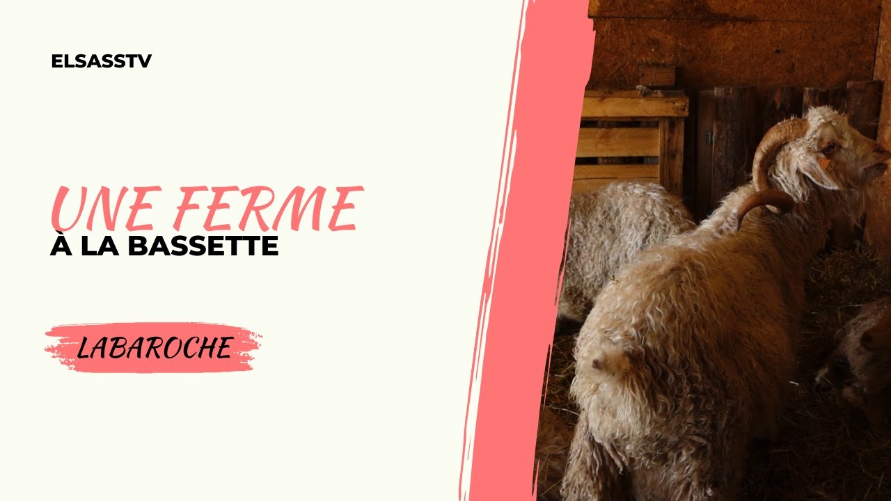 Une Ferme à la Bassette