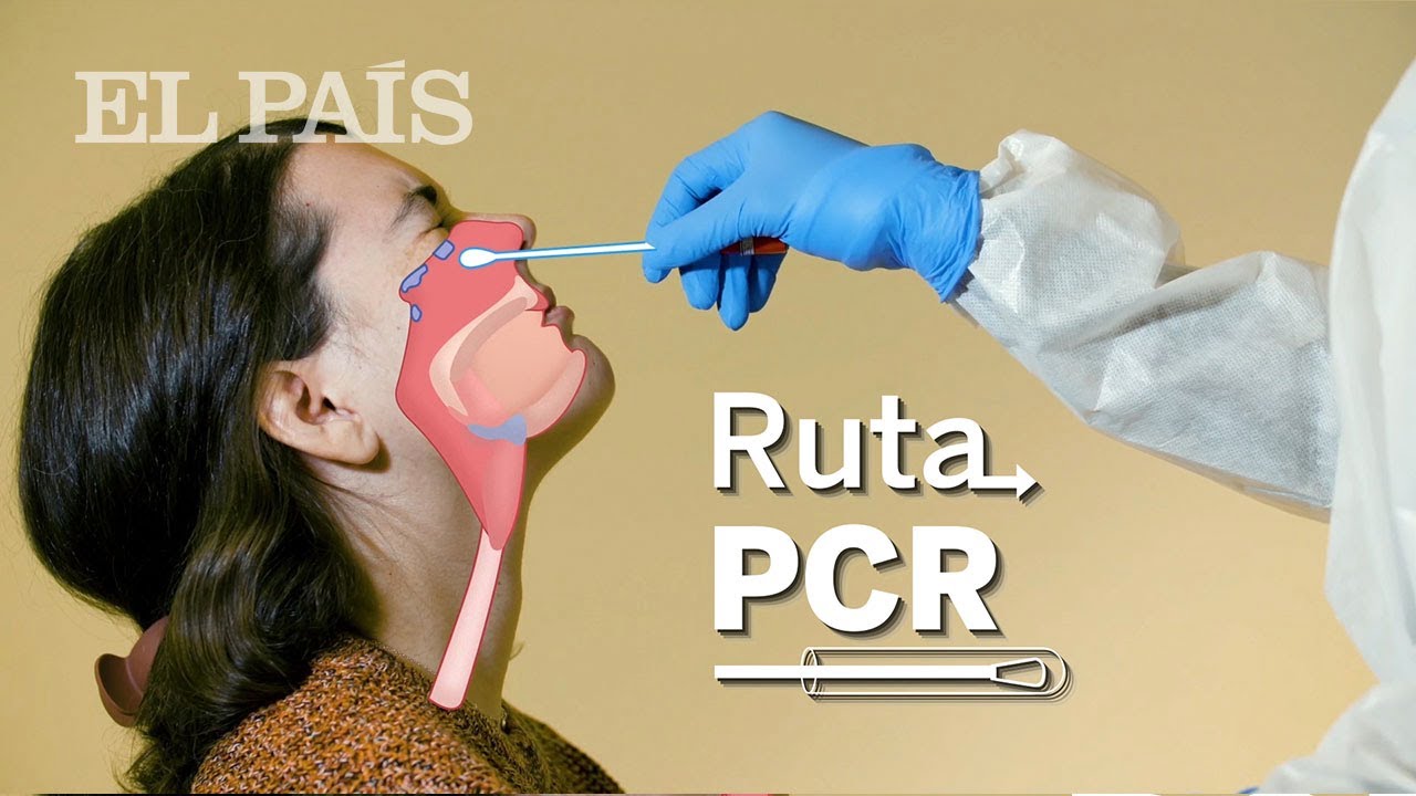 COVID | La RUTA de la PCR: todo lo que necesitas saber de los test de CORONAVIRUS