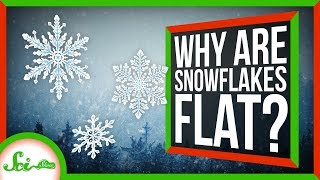 Why Are Snowflakes Flat?