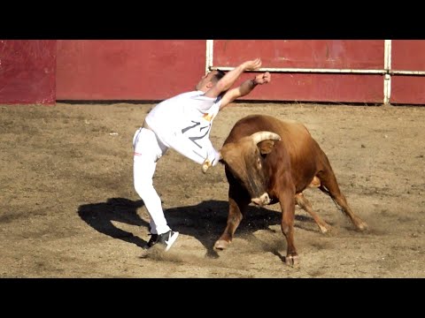 Valdestillas 2022 Gran Concurso de Recortadores con Toros Bravos