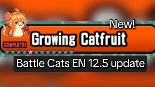 Growing Catfruit - ALL 5 Stages (ft. Rush Strat.) BCEN 12.5 Ver. | REVAMPED! OPEN 24H EVERYDAY! NICE