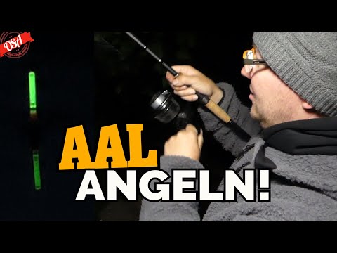 Biss auf Biss beim AAL Angeln! OSA in Mission Aalangeln